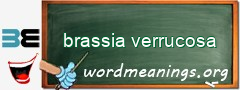 WordMeaning blackboard for brassia verrucosa